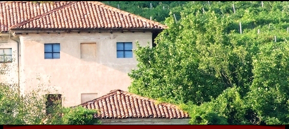 La vigna