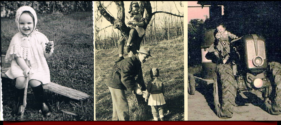 La vigna